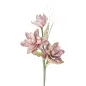 MAGNOLIA X3 RÓŻA 30X90 cm MIN 10